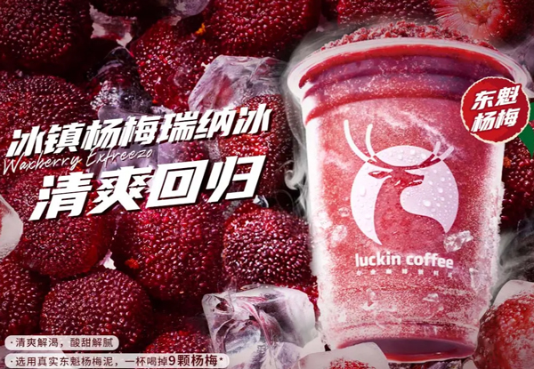爷爷不泡茶