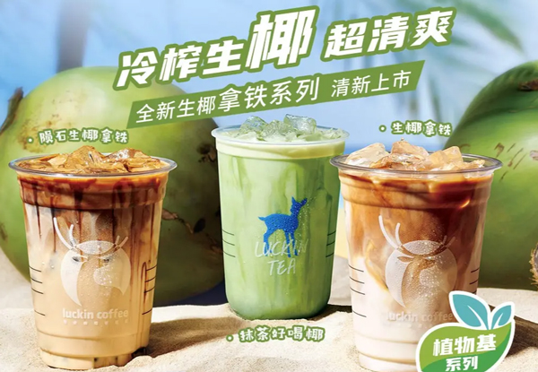 爷爷不泡茶