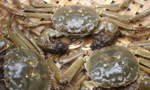 How Long Can Fried Crabs Be Stored in the Refrigerator?