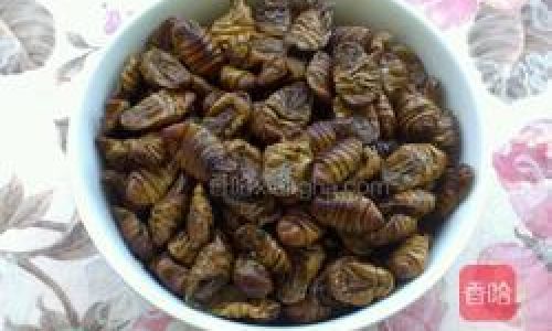 The Art of Frying Silkworm Pupae:A Culinary Exploration