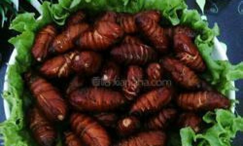 The Art of Frying Silkworm Pupae:A Culinary Exploration