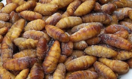 The Art of Frying Silkworm Pupae:A Culinary Exploration