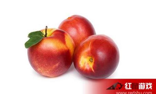 Preserving Nectarines Fresh Without a Refrigerator