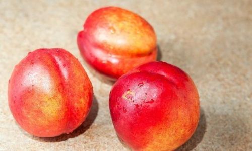 Preserving Nectarines Fresh Without a Refrigerator