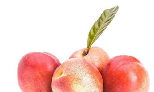Can Nectarines Be Stored in the Refrigerator?A Comprehensive Guide