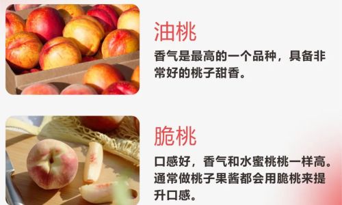 An Introduction to Nectarine Preservation Methods