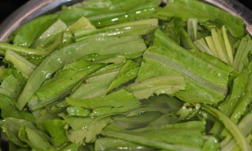 Comprehensive Guide to Cooking Oilseed Mustard Greens