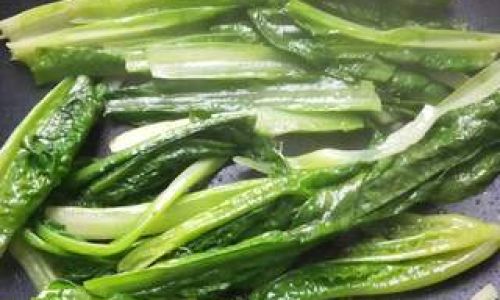 Comprehensive Guide to Cooking Oilseed Mustard Greens