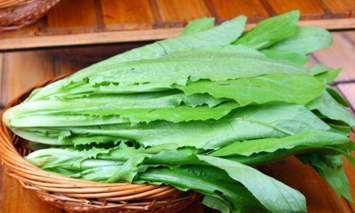 Preparing Oilseed Mustard Greens for Baby:A Nutritious and Delightful Journey