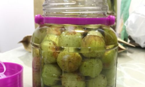 Discovering the Culinary Delights of Oilseed Phyllanthus:How to Enjoy Oilseed Phyllanthus