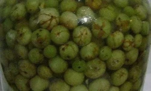 Can Oilseed Olives Be Used to Make Soup?An In-Depth Exploration