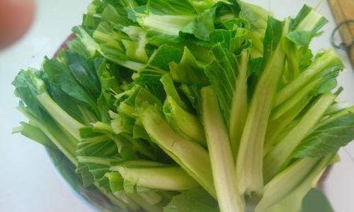 Delightful Ways to Enjoy Rapeseed Canola)Oil and Its Versatile Culinary Uses