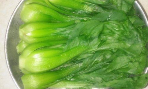 Delightful Dishes After Blanching Rapeseed Canola)Greens:Exploring Culinary Creativity