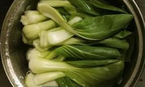 Delightful Dishes After Blanching Rapeseed Canola)Greens:Exploring Culinary Creativity