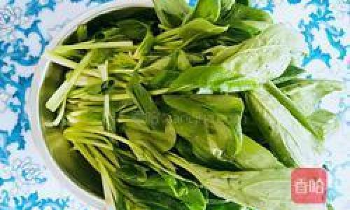 Delightful Dishes After Blanching Rapeseed Canola)Greens:Exploring Culinary Creativity