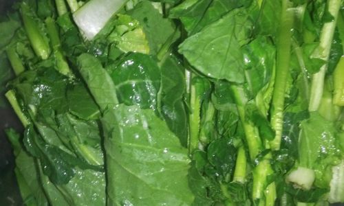 Delightful Ways to Cook Rapeseed Sprouts:Unlocking Culinary Delights