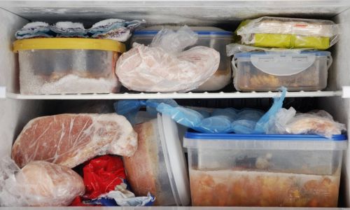 Can Houttuynia Cordata Seedlings Be Stored in the Refrigerator?An In-Depth Analysis