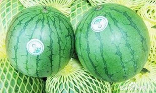 How to Select High-Quality Watermelons:A Comprehensive Guide
