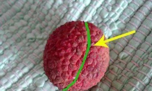 How to Select High-Quality Dried Lychees
