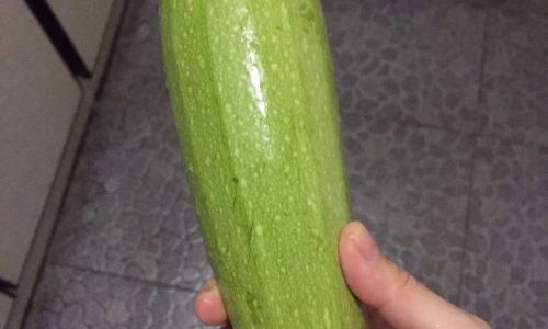 Mastering the Art of Making Delicious Zucchini-Stuffed Dishes