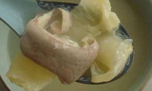 What is Used to Make Fish Glue:An In-Depth Exploration
