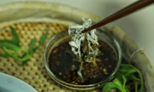 Selecting the Optimal Flour for Steaming Elm Seeds:A Comprehensive Guide
