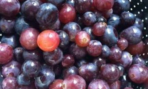 Crafting Beverages with Grapes:A Delightful Culinary Journey