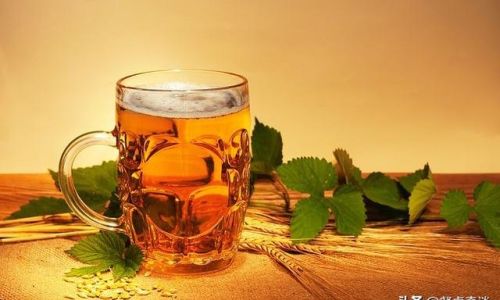 Mastering the Art of Cooking with Beer:Expert Tips and Techniques