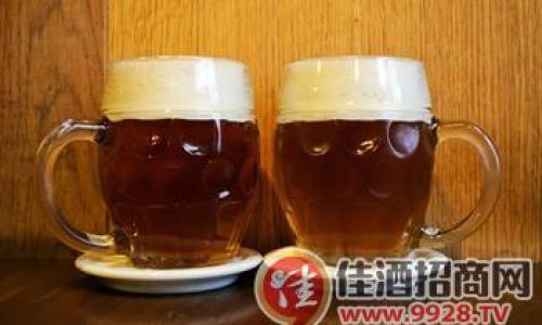 Mastering the Art of Cooking with Beer:Expert Tips and Techniques