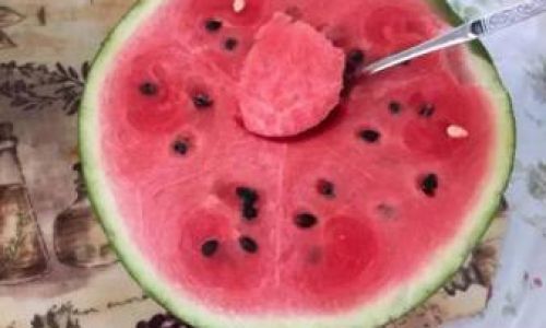 Ripening Watermelons with Beer:An Unconventional Yet Intriguing Method