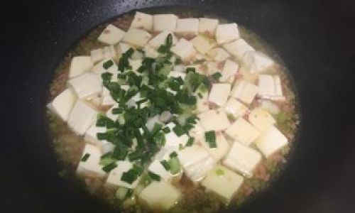 Making Tofu from Internal Coagulant:A Step-by-Step Guide