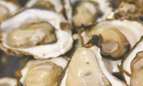 The Great Debate:Boiling Bitter Snails with Cold Water or Boiling Water?