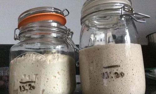 Can Starter Dough for Fermentation Be Frozen for Preservation?