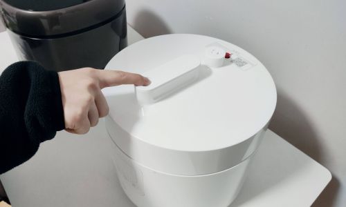 Mastering the Art of Cooking Rice in a Pressure Cooker:Optimal Timing for Perfect Results