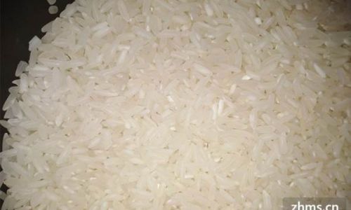 Mastering the Art of Rice Preservation:Expert Tips for Long-Lasting Freshness and Quality