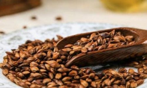 The Art of Crafting Barley Tea:A Step-by-Step Guide to Traditional and Modern Methods