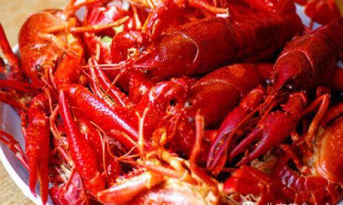 Mastering the Art of Cooking Lobster:A Comprehensive Guide to Preparing and Savoring this Delicacy