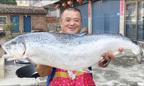 Mastering the Art of Cooking Salmon:Techniques,Recipes,and Tips for Culinary Excellence