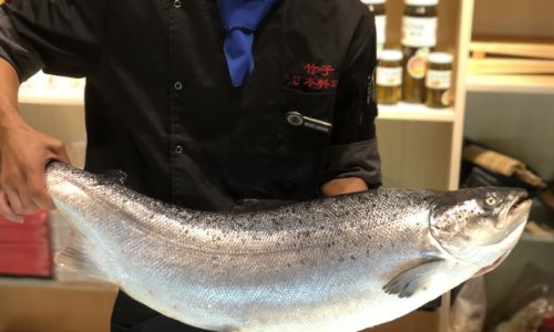 Mastering the Art of Cooking Salmon:Techniques,Recipes,and Tips for Culinary Excellence