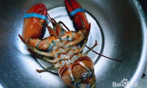 Mastering the Art of Handling Live Lobsters:A Comprehensive Guide to Humane Preparation and Cooking