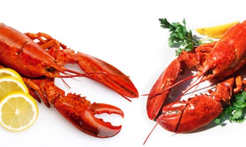 Mastering the Art of Cooking Majestic Lobster:A Comprehensive Guide to Culinary Excellence