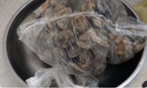 Effective Methods for Preserving and Storing Large Quantities of Clams:A Comprehensive Guide