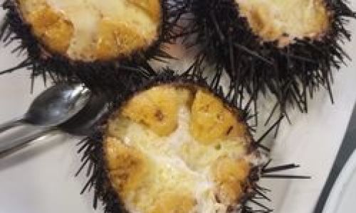 The Optimal Season for Plump Sea Urchins in Dalian:A Culinary Guide