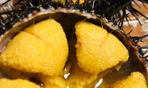 The Optimal Season for Plump Sea Urchins in Dalian:A Culinary Guide