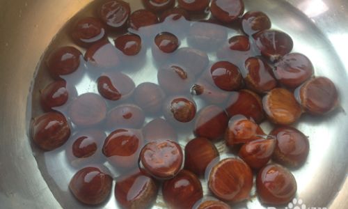 Mastering the Art of Cooking Chestnuts:Techniques,Tips,and Delicious Recipes