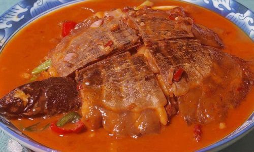 Mastering the Art of Cooking Large Soft-Shell Turtle:A Guide to Culinary Excellence