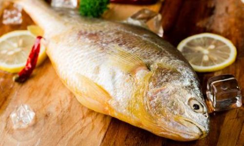 Can Large Yellow Croaker Be Frozen Safely?A Comprehensive Guide to Preservation and Quality