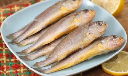 Can Large Yellow Croaker Be Frozen Safely?A Comprehensive Guide to Preservation and Quality