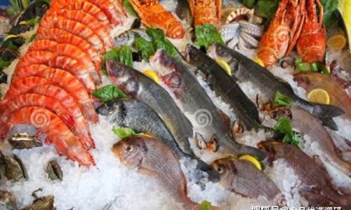 Can Large Yellow Croaker Be Frozen Safely?A Comprehensive Guide to Preservation and Quality