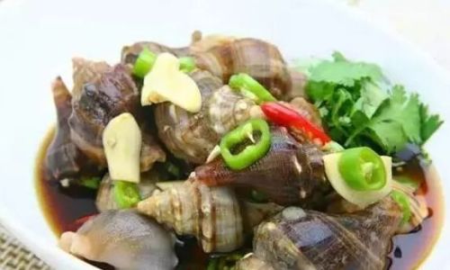 Mastering the Art of Cooking Conch:Perfect Timing for Tender and Flavorful Results